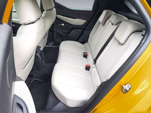 Citroen DS 3 2020 Electrisch