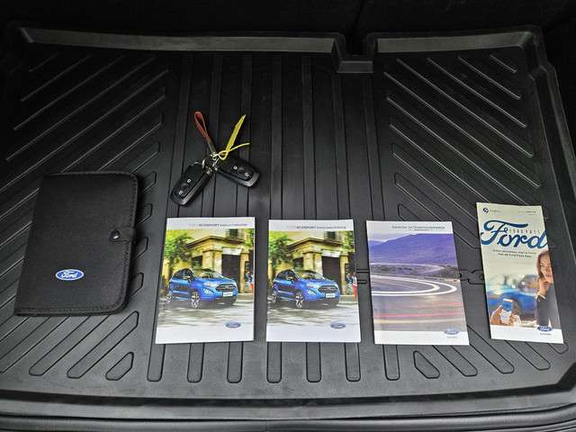 Ford EcoSport 2019 Benzine