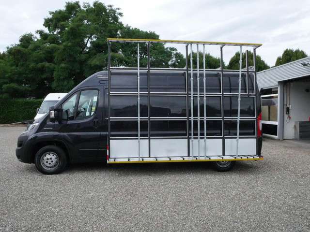 Fiat Ducato 2019 Diesel
