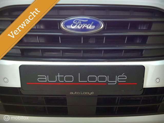 Ford Transit leasen