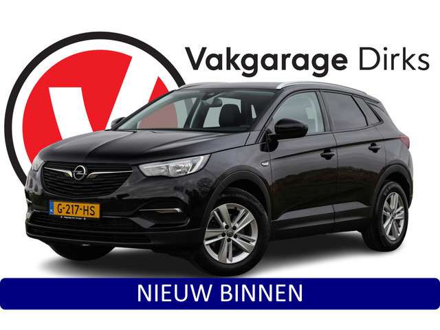 Opel Grandland X 2019 Benzine