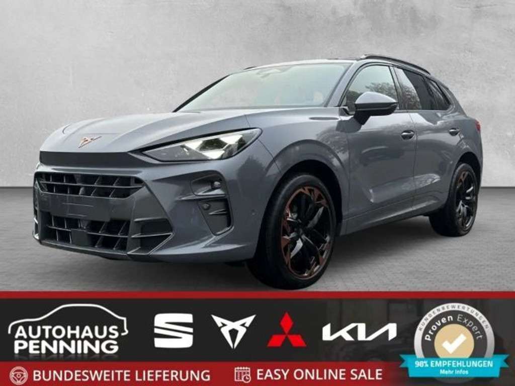 Cupra Terramar 2024 Benzine