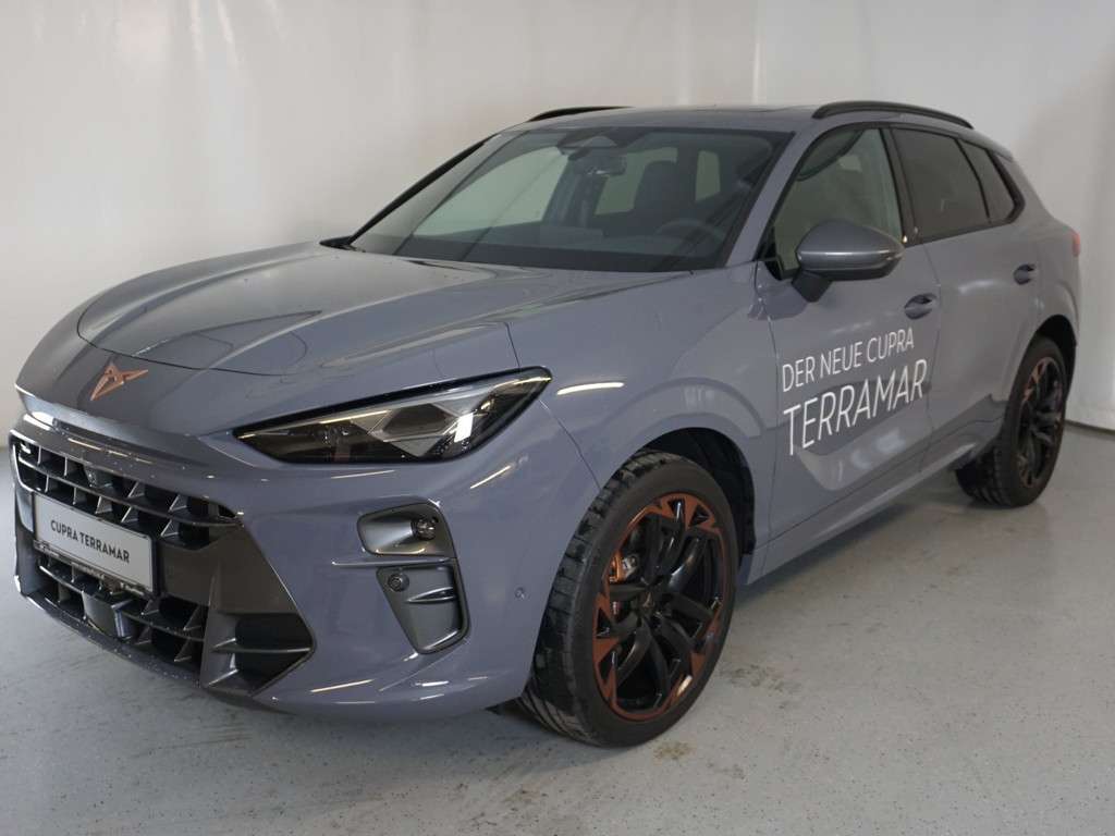 Cupra Terramar 2024 Benzine