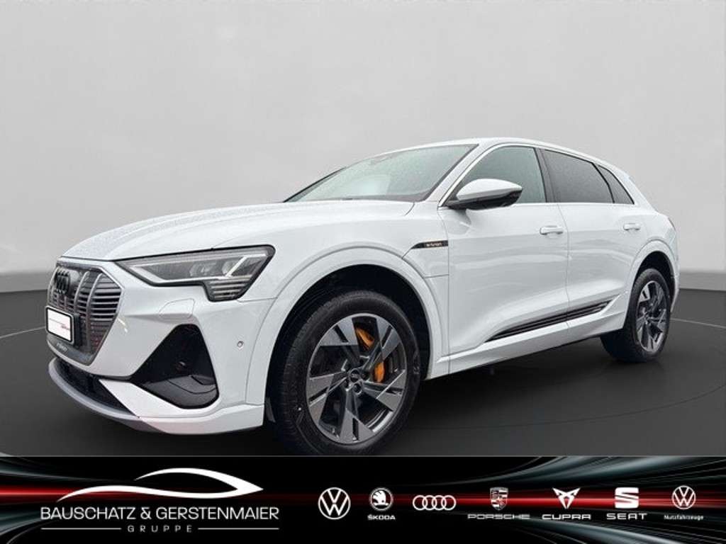 Audi e-tron 2021 Elektrisch