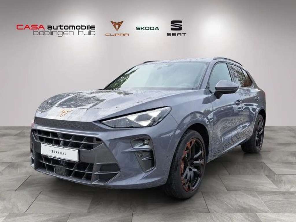 Cupra Terramar 2024 Benzine