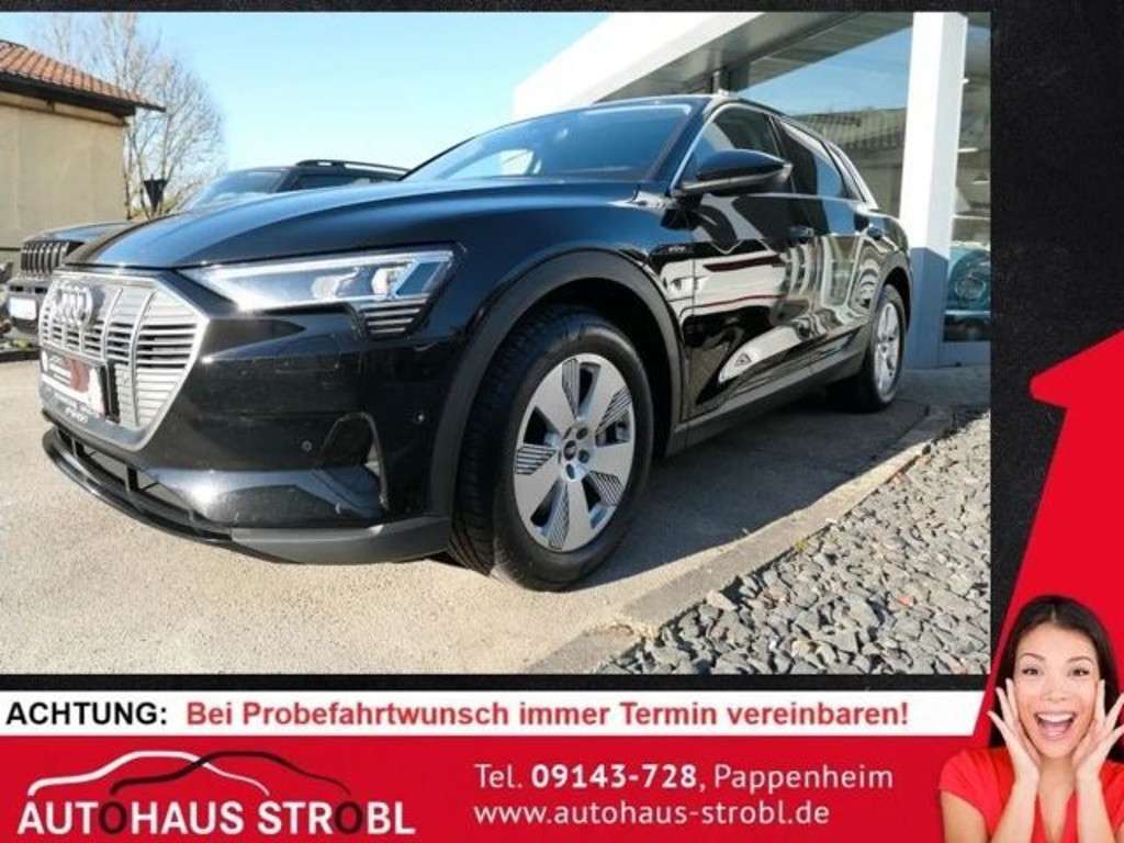 Audi e-tron 2021 Elektrisch