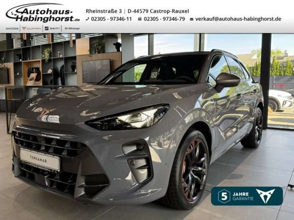 Cupra Terramar 2025 Benzine