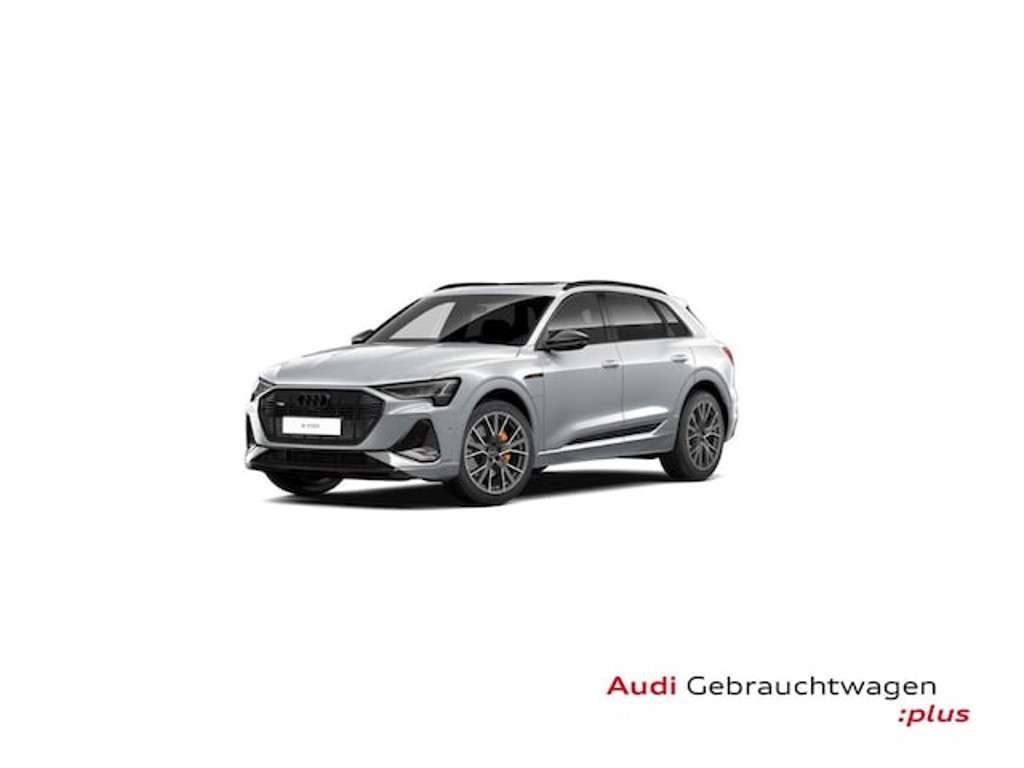 Audi e-tron 2022 Elektrisch