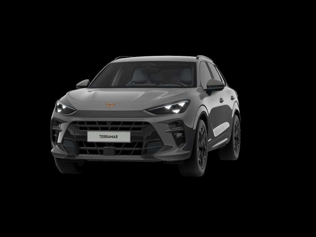 Cupra Terramar 2024 Benzine