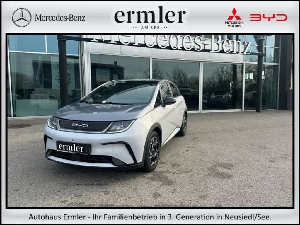 BYD Dolphin 2025 Elektrisch