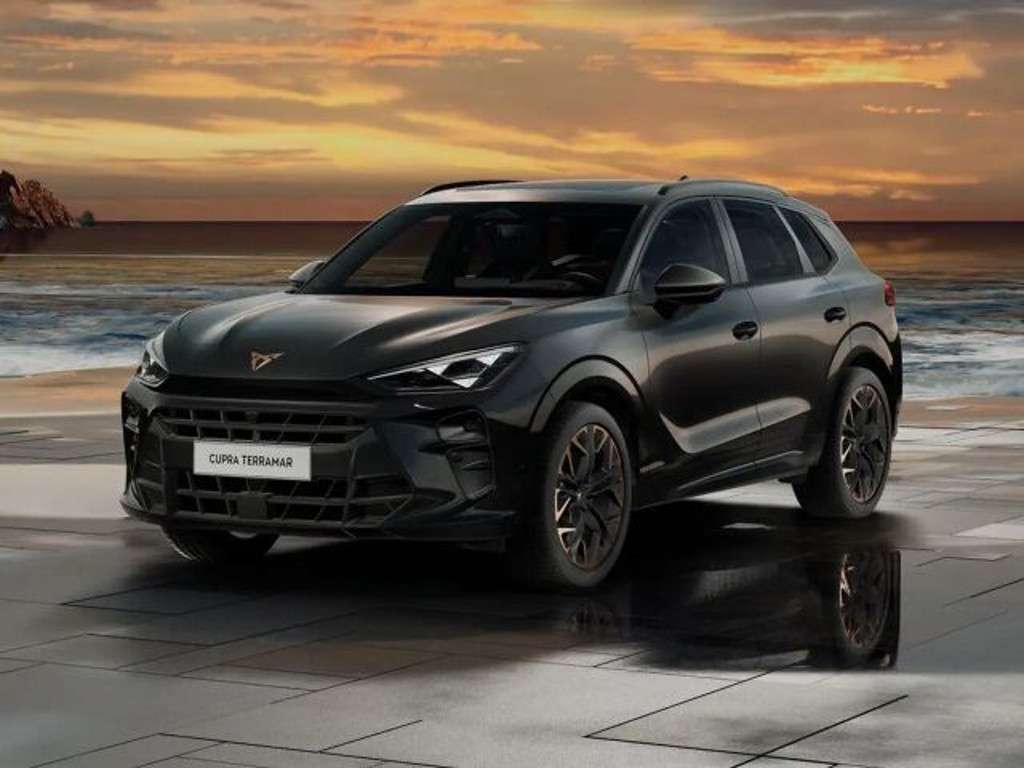 Cupra Terramar 2025 Benzine