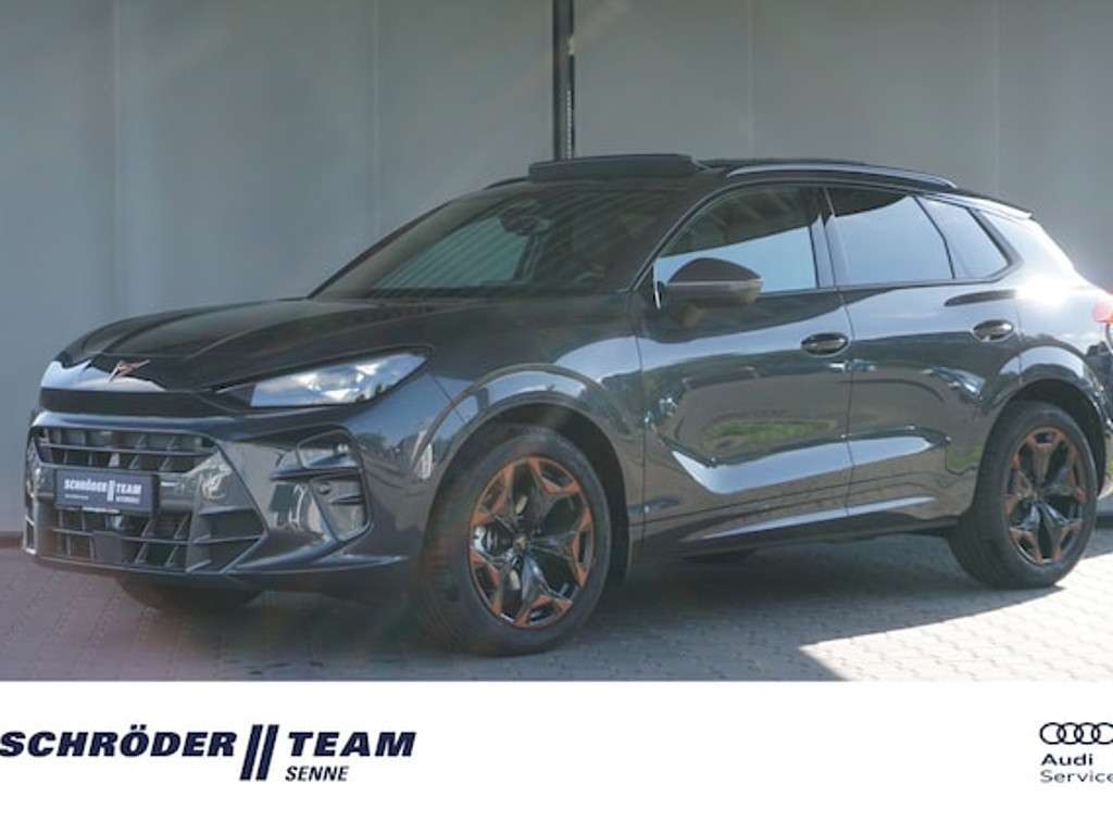 Cupra Terramar 2025 Benzine