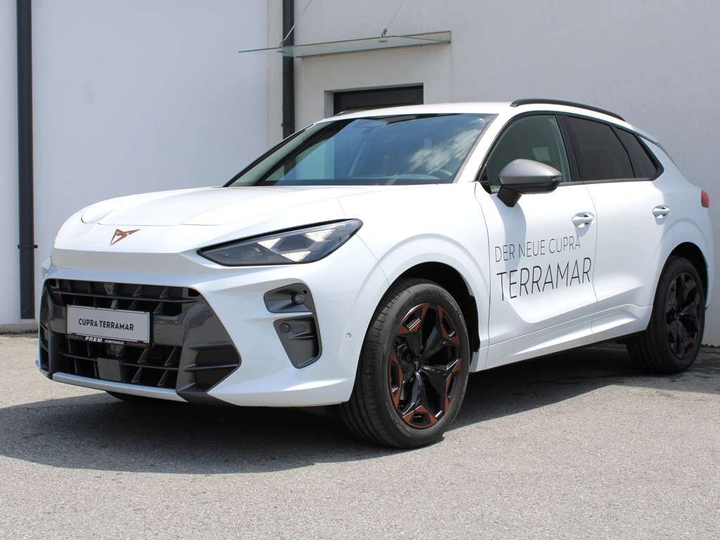 Cupra Terramar 2024 Benzine