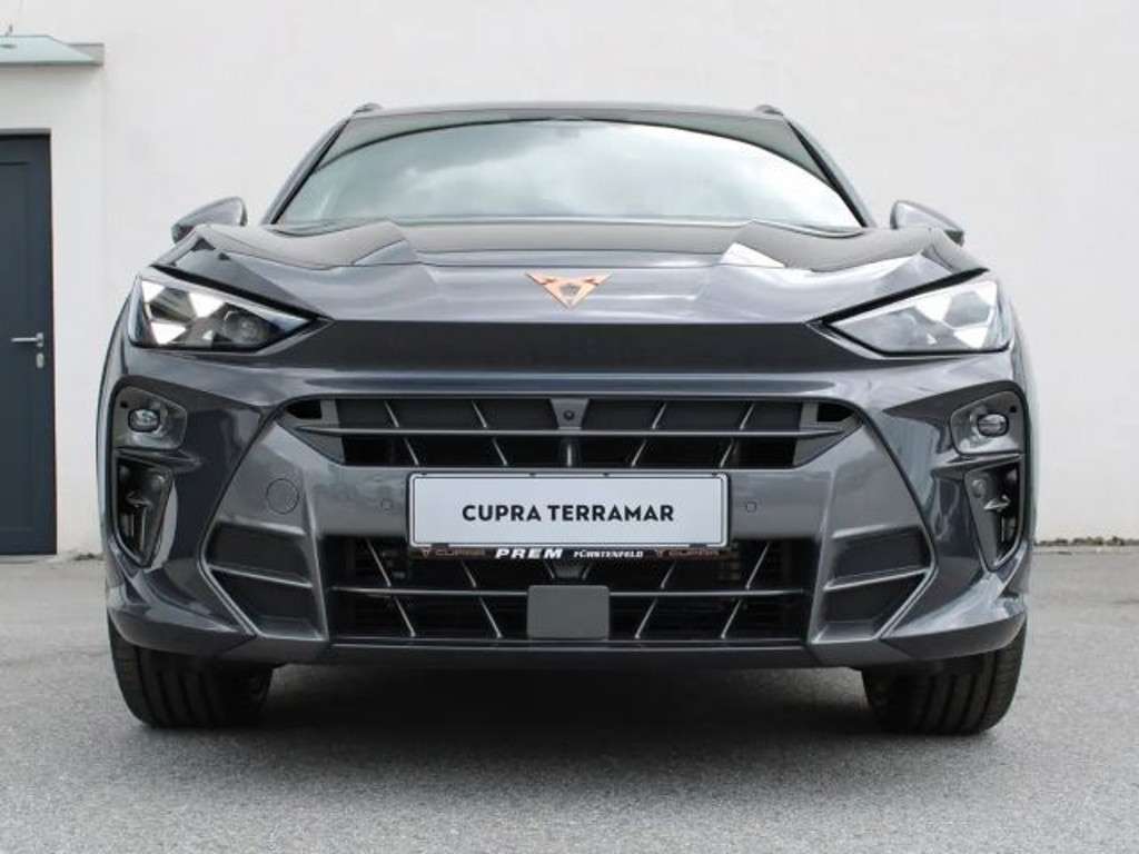 Cupra Terramar 2025 Benzine