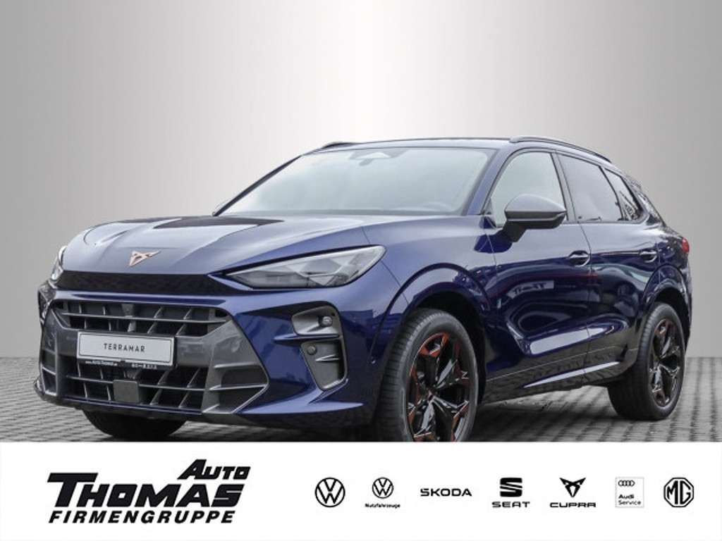 Cupra Terramar 2025 Benzine