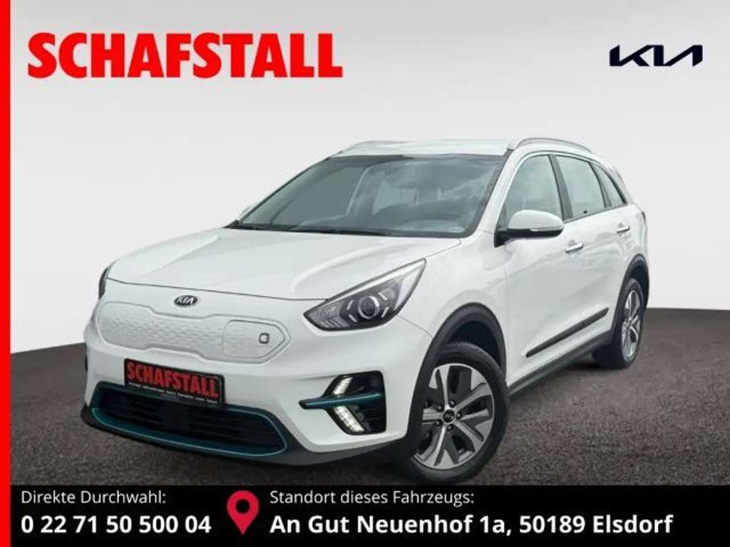 Kia Niro 2021 Elektrisch