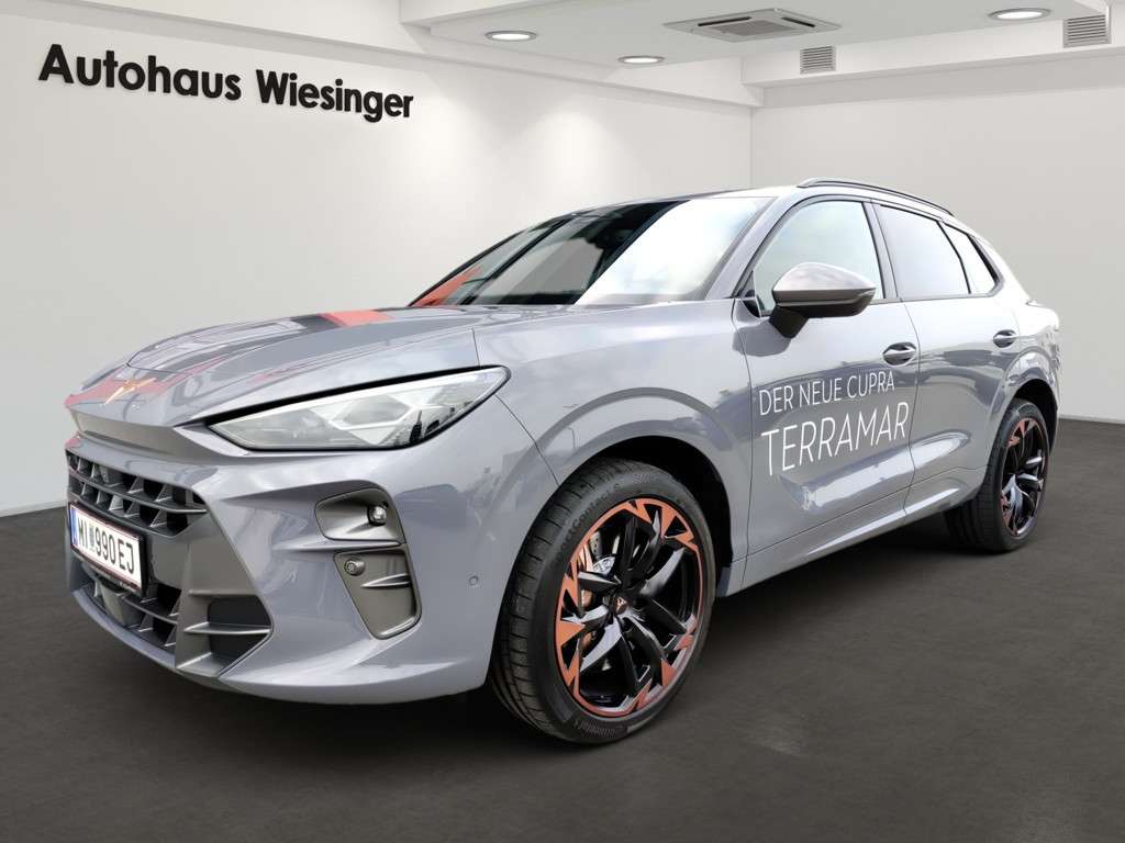 Cupra Terramar 2024 Benzine