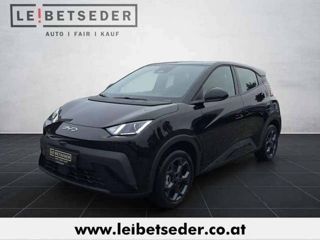 BYD Dolphin 2025 Elektrisch