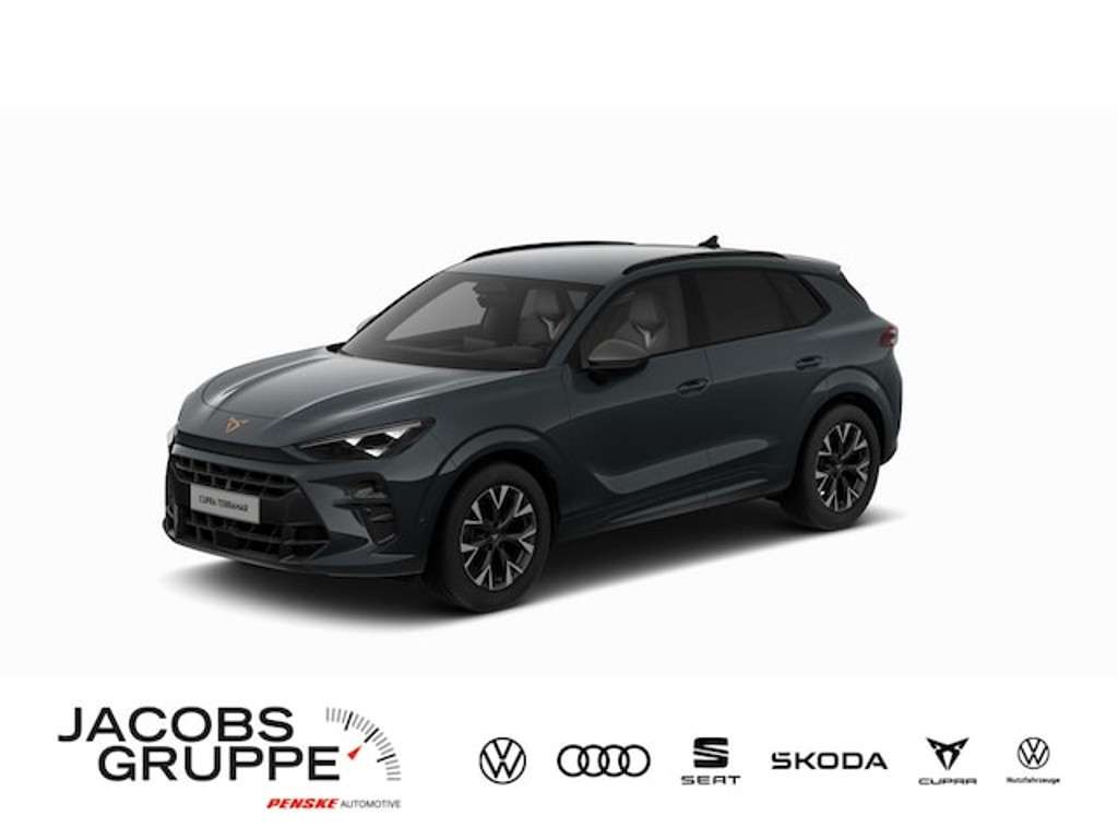 Cupra Terramar 2025 Benzine