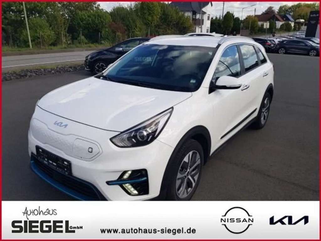 Kia Niro 2021 Elektrisch