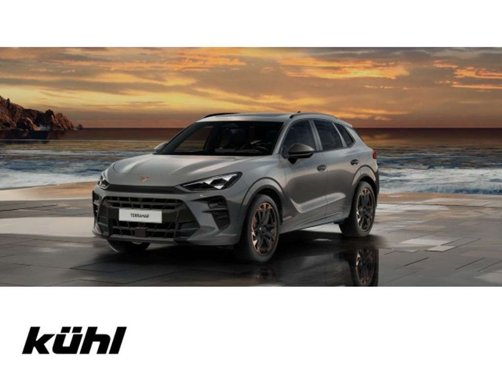 Cupra Terramar 2025 Benzine