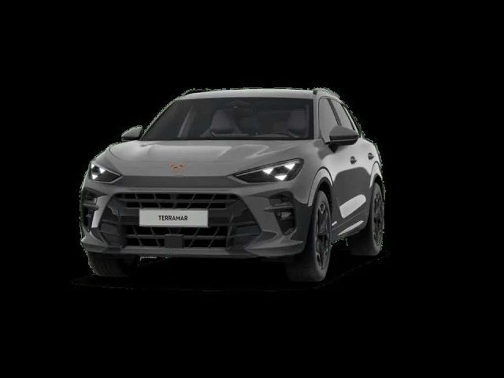 Cupra Terramar 2024 Benzine