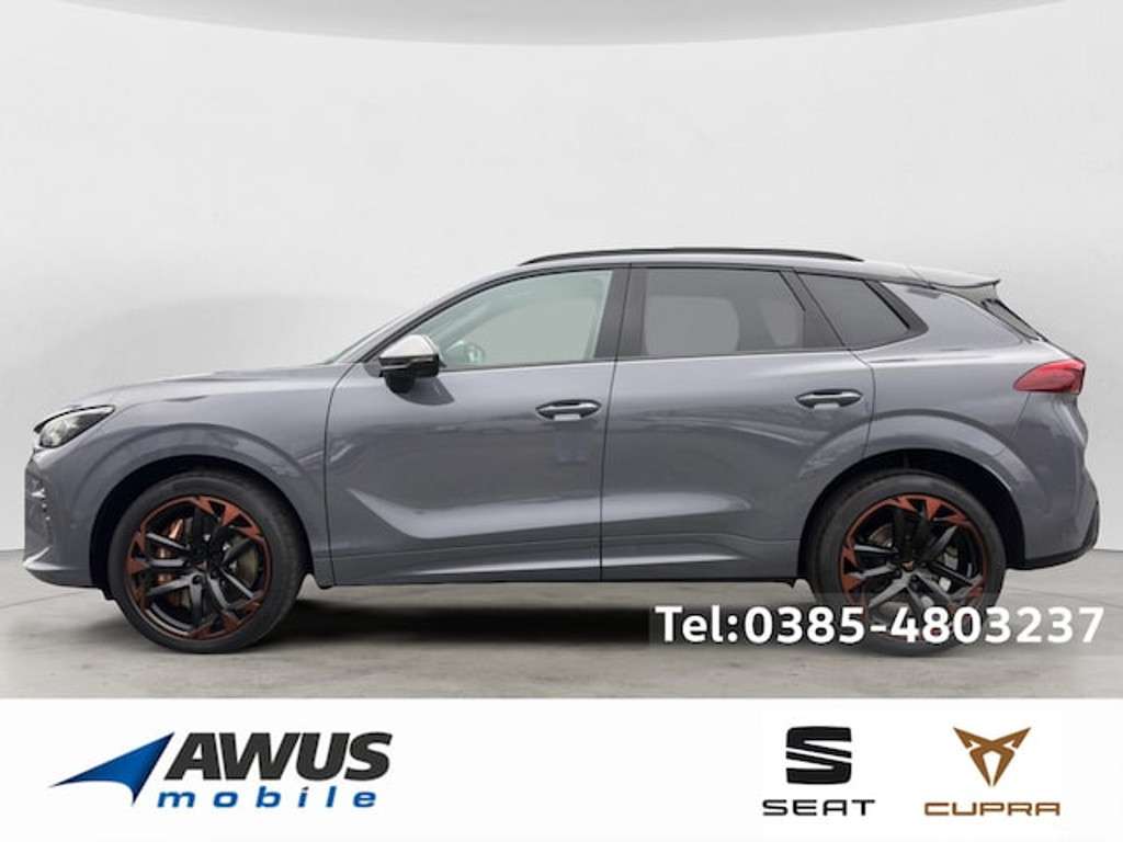 Cupra Terramar 2025 Benzine