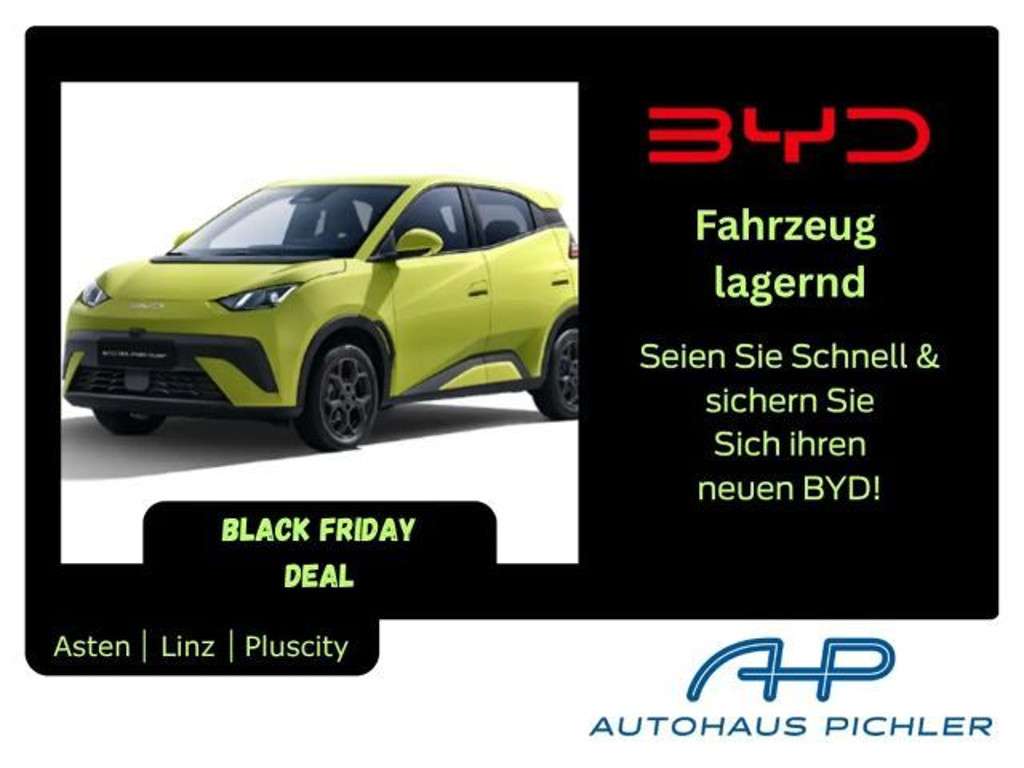 BYD Dolphin Surf 2025 Elektrisch