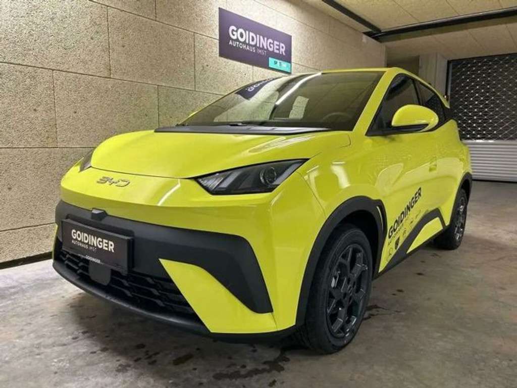 BYD Dolphin Surf 2025 Elektrisch