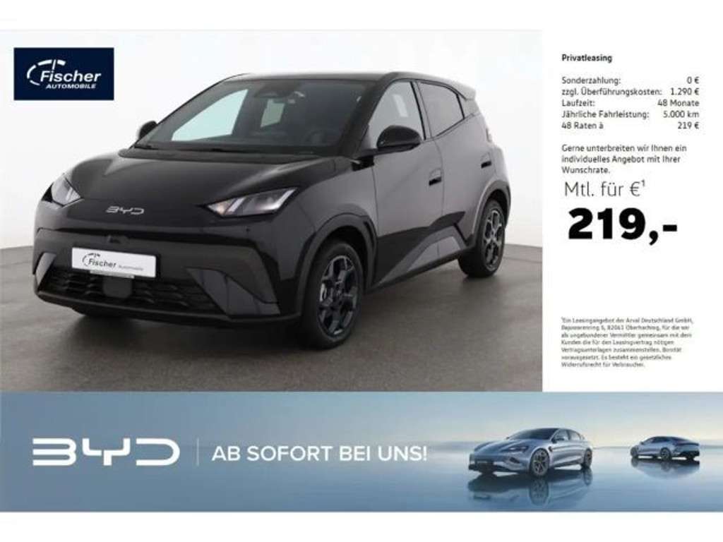 BYD Dolphin 2025 Elektrisch