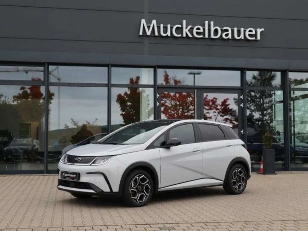 BYD Dolphin 2025 Elektrisch