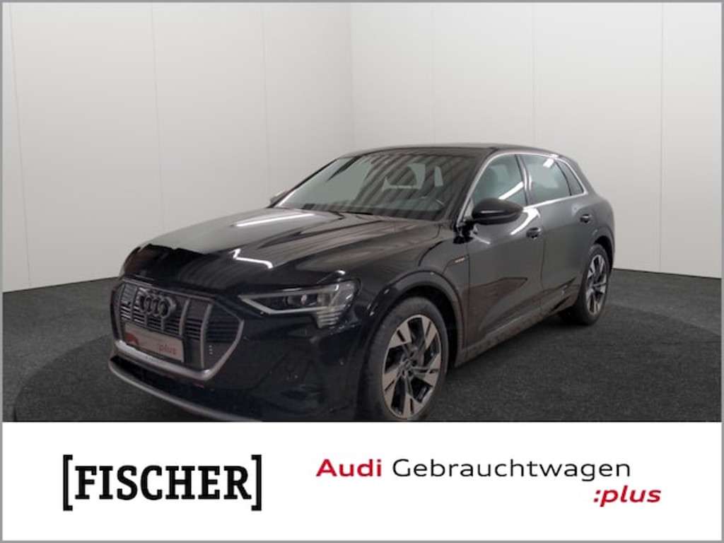 Audi e-tron 2022 Elektrisch