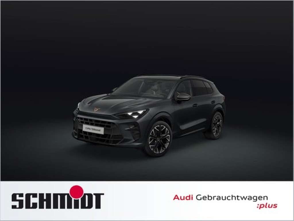 Cupra Terramar 2025 Benzine