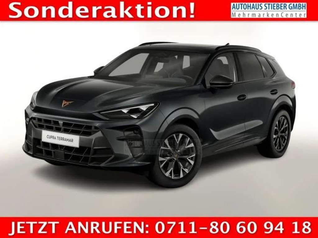 Cupra Terramar 2025 Benzine