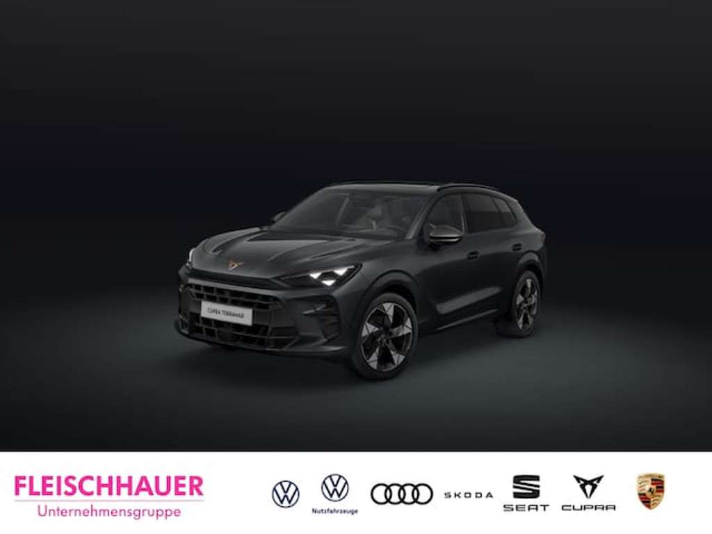 Cupra Terramar 2025 Benzine